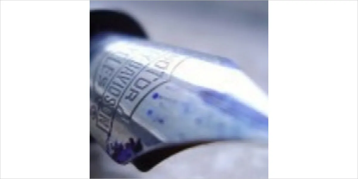 Piotr Wielgucki „Matka Kurka”