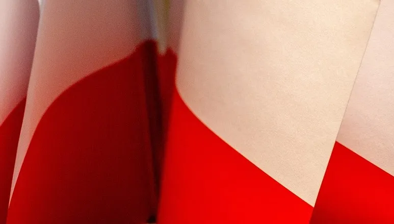 Wojewoda i marszałek na oddzielnych galach