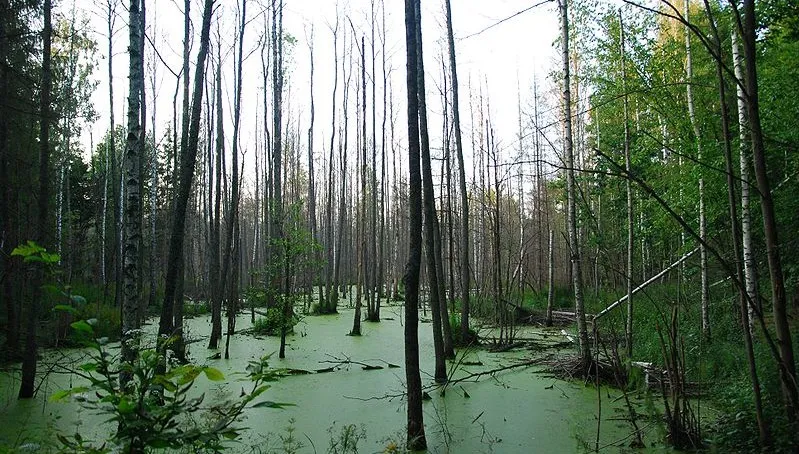 Rosną przychody parków narodowych