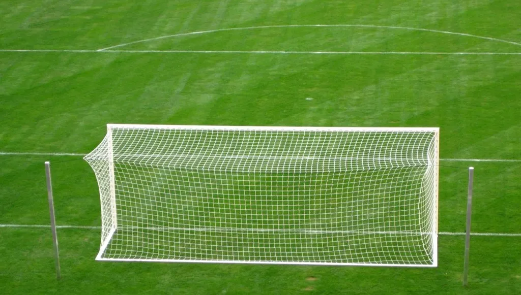 Liga włoska - gol Piątka