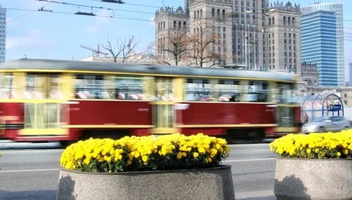 Zdjęcie główne
