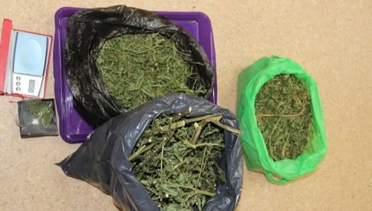 Marihuana w przesyłkach z kawą