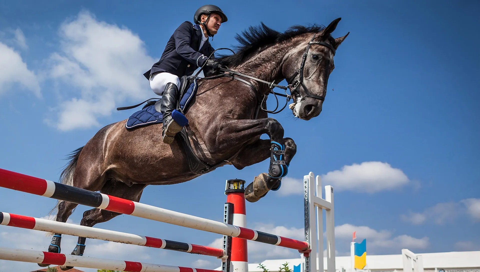 Jeźdźcy z dziewięciu krajów rywalizują w Cavaliadzie