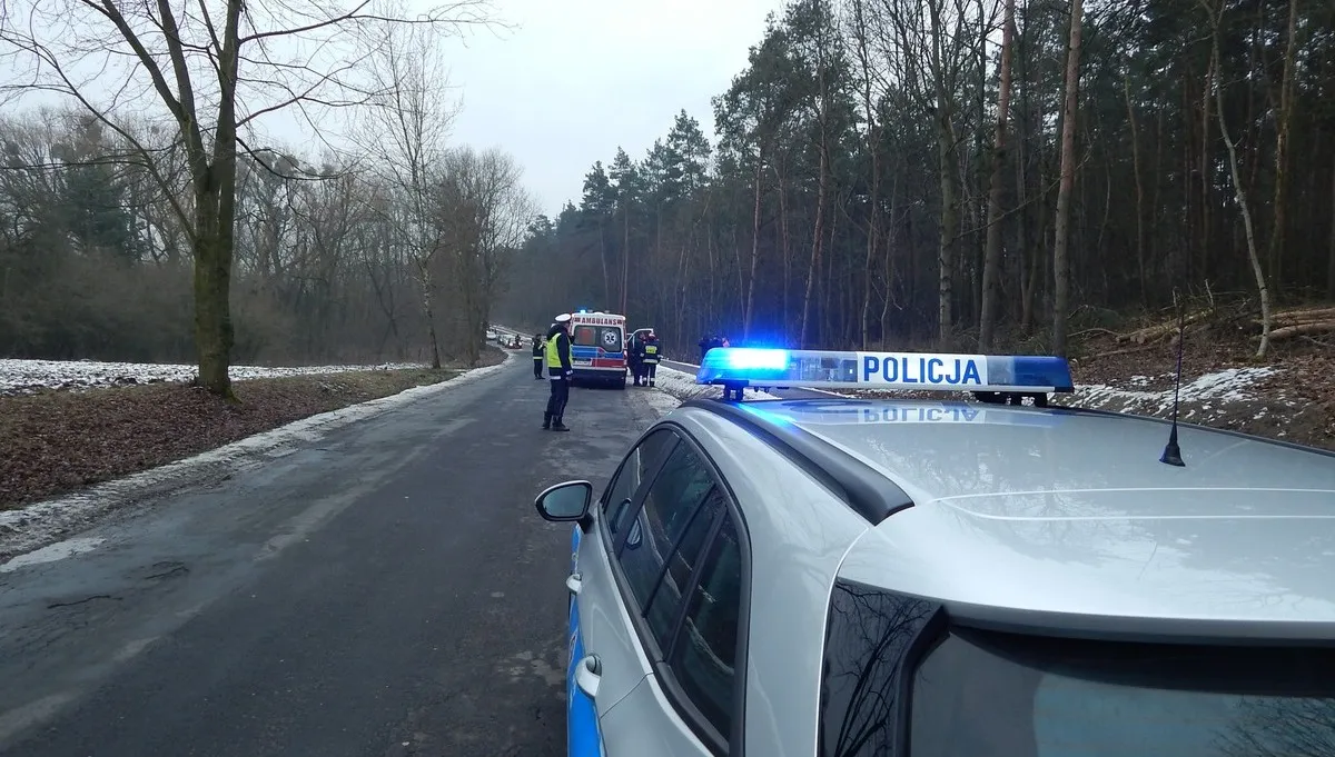 Groźny wypadek przy wycince drzew. 48-latek był nietrzeźwy