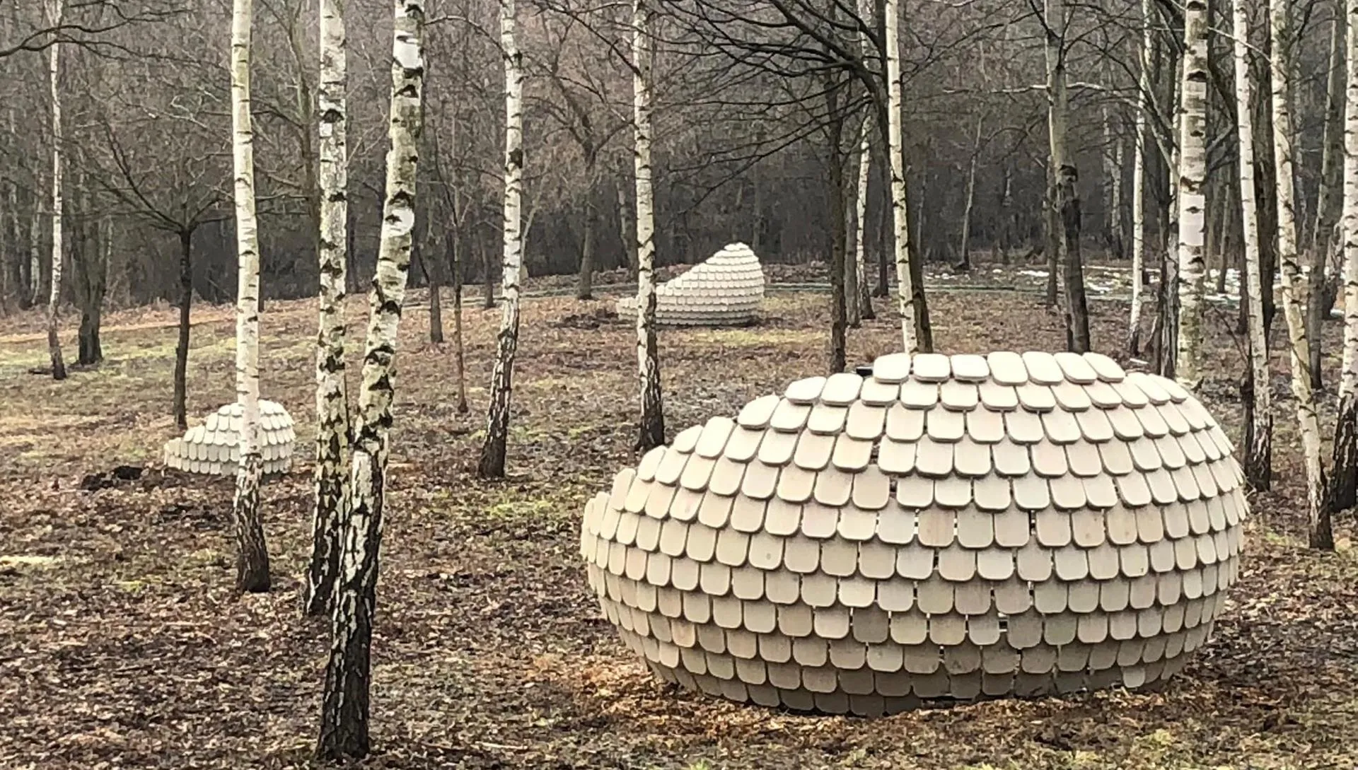 Kraków: polana do słuchania przyrody