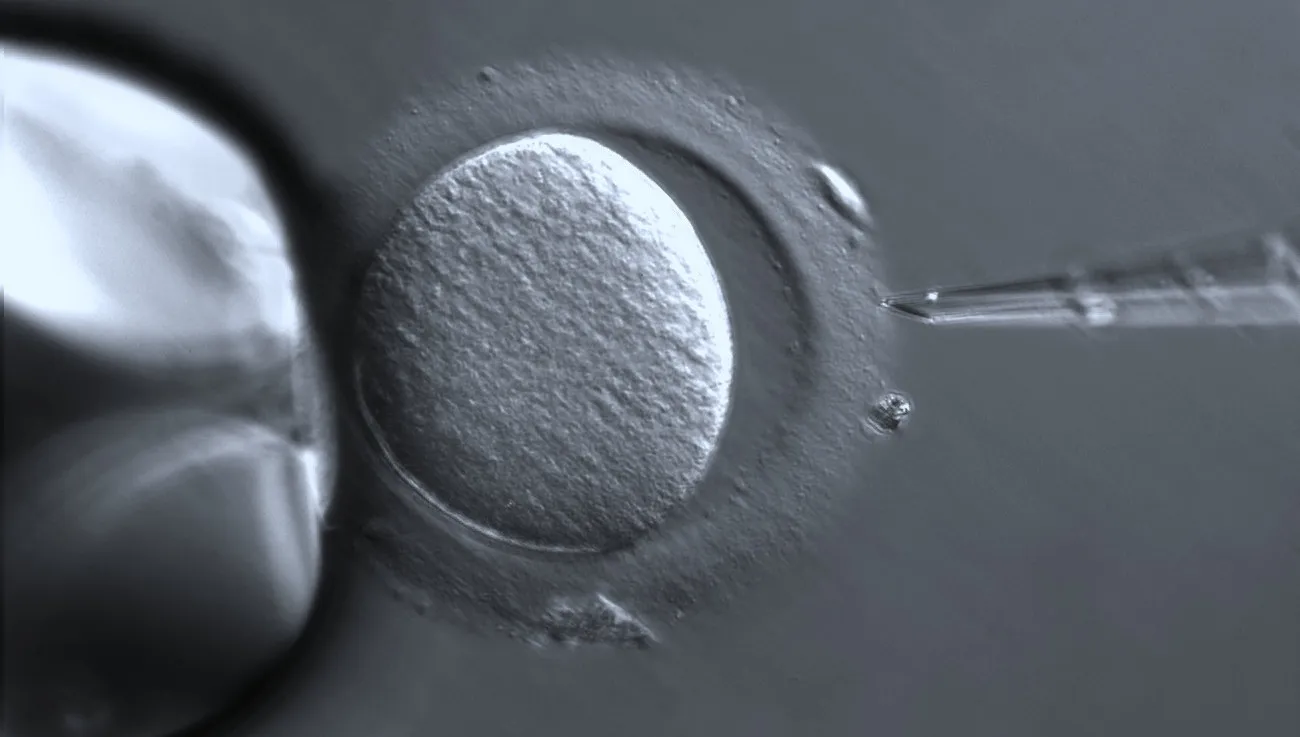 In vitro kosztem żłobków? Kontrowersyjne priorytety samorządowców PO 