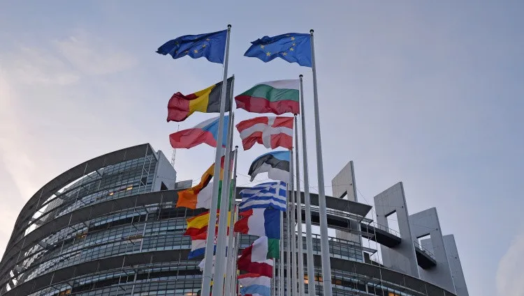 Silny głos Polski potrzebny w Parlamencie Europejskim. „Nie możemy być łajani”