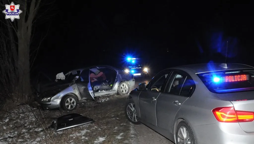 Sarna wbiegła na jezdnię! Samochód wylądował na drzewie!