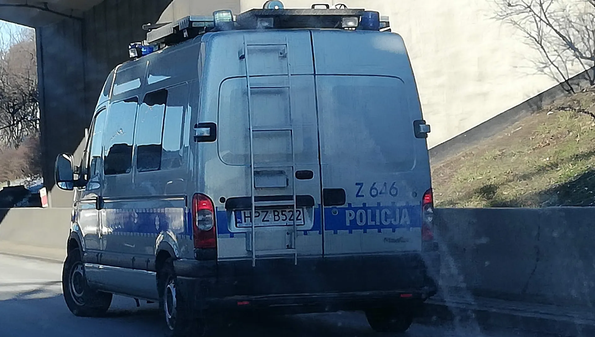 Samochód zderzył się z łosiem - pasażer w szpitalu