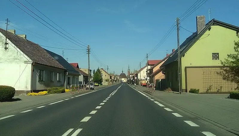 Policja przywróciła ruch na dk 32 w Gronowie