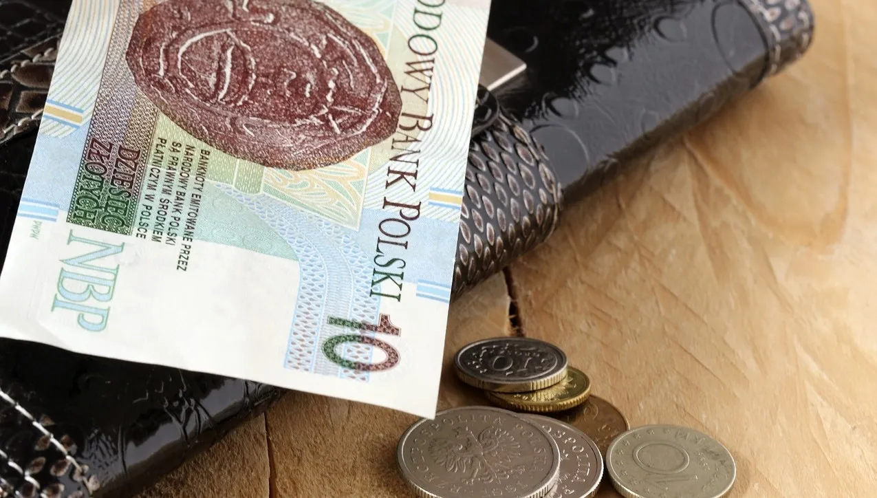 Po styczniu budżet z nadwyżką: 6,6 mld
