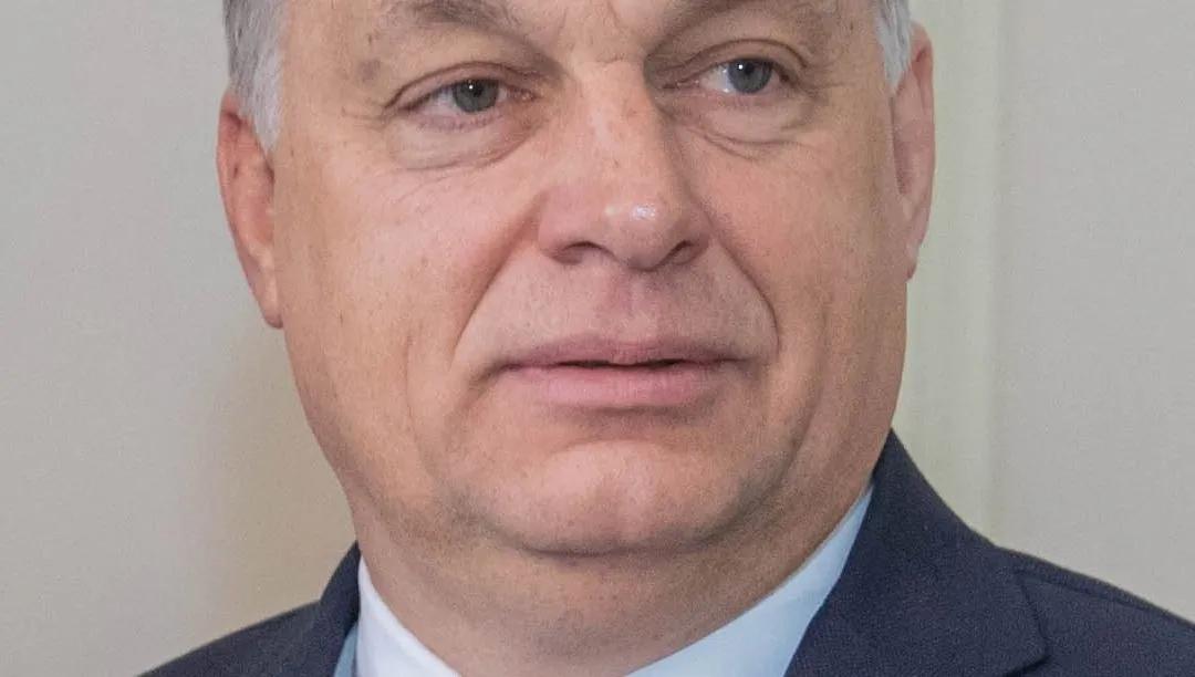 Viktor Orban: to "pożyteczni idioci"