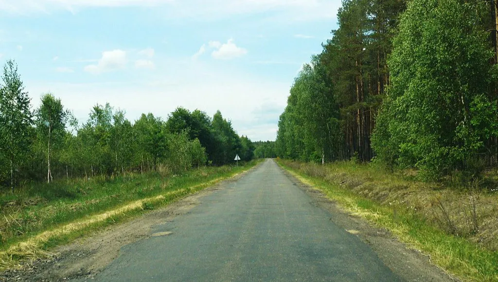 Rozbudowa DW123 w powiecie czarnkowsko-trzcianeckim