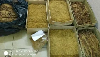 Zostali zatrzymani w trakcie nielegalnej produkcji papierosów