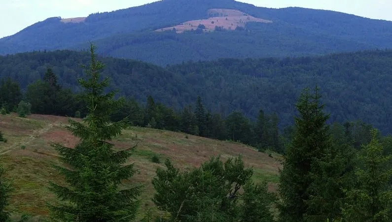 Odkryj Beskid Wyspowy!