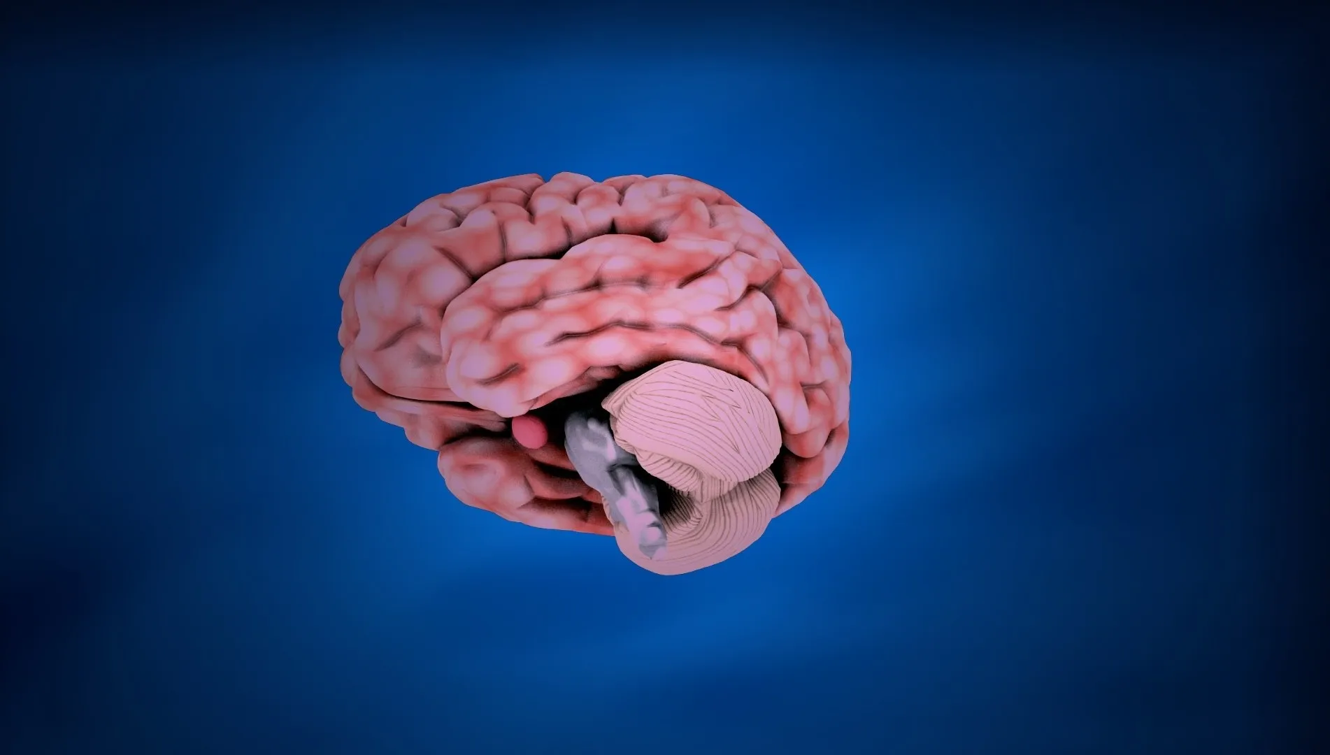 Demencja i choroba Alzheimera – przyczyny, diagnoza, zmniejszenie ryzyka 