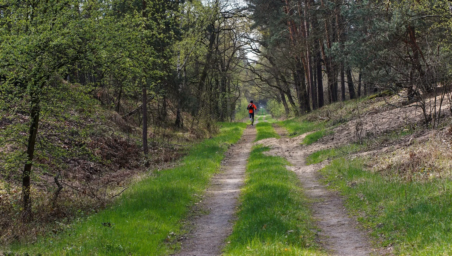 Kozienicki Park Krajobrazowy - zielone serce Mazowsza