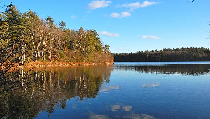 Staw Walden