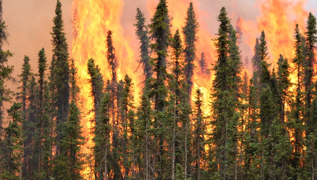 Zdjęcie ilustracyjne