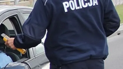 Pijany wjechał w słup. Udawał, że robił unik... przed sarną!
