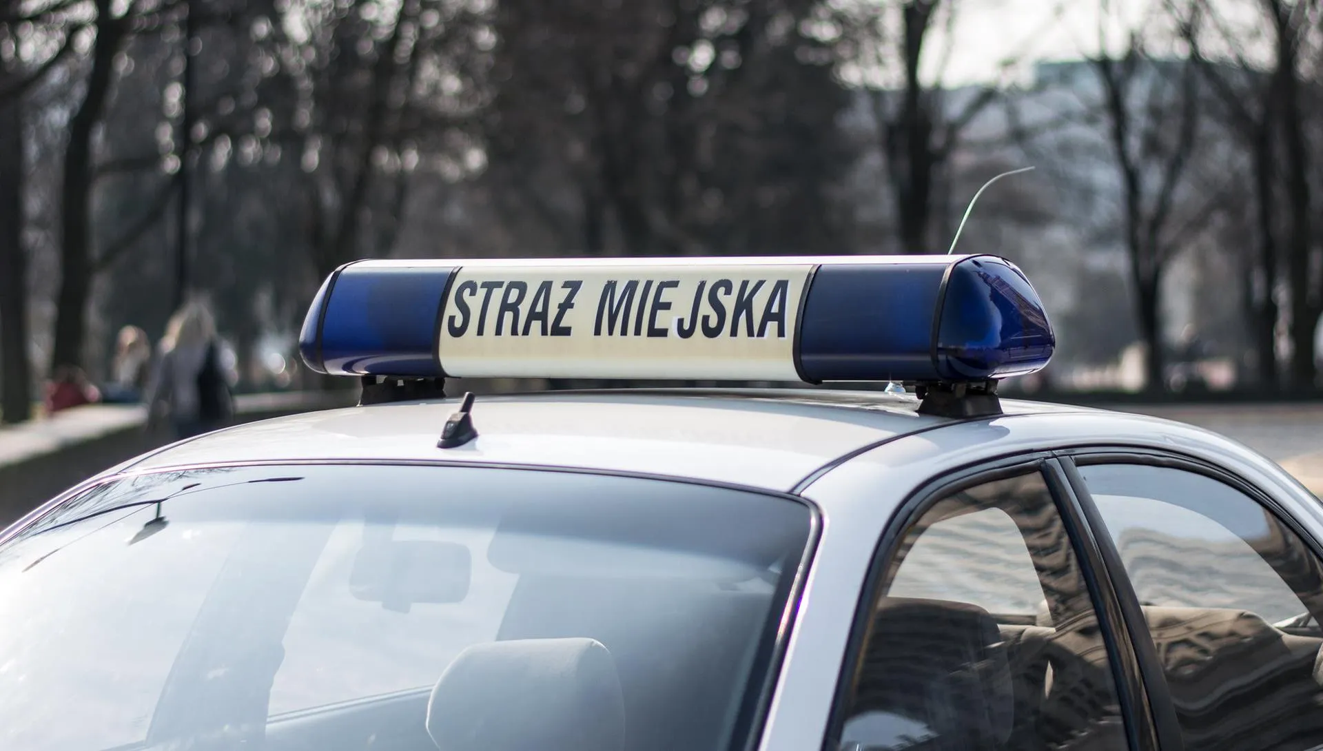 Strażnicy uwolnili suczkę. Przywiązano ją do drzewa drutem kolczastym