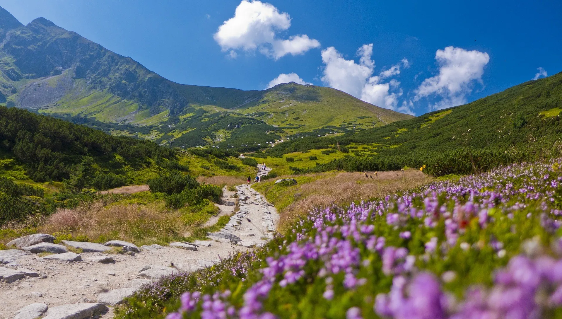 Tatry