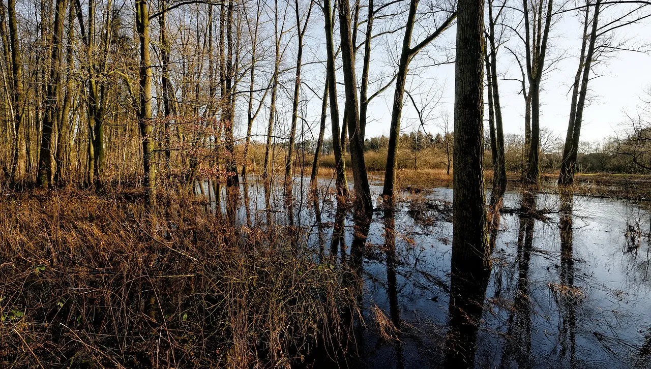 Na Podkarpaciu podtopionych 300 domów