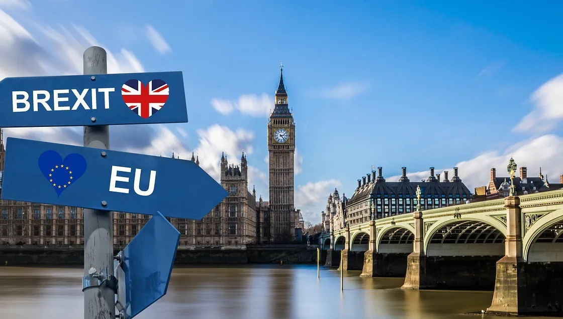 Partia Brexitu wygrała wybory do PE