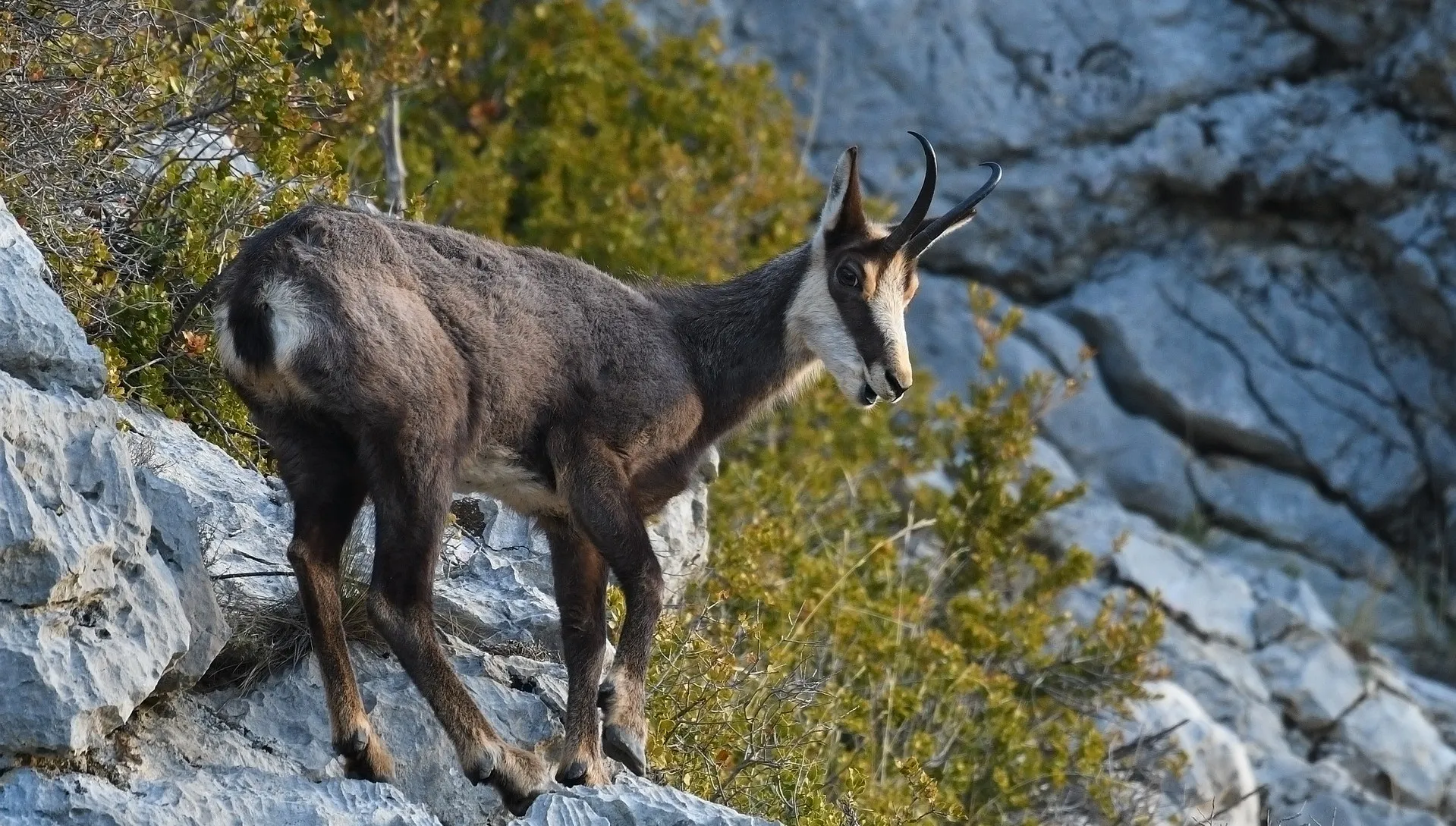 Tatry – królestwo przyrody