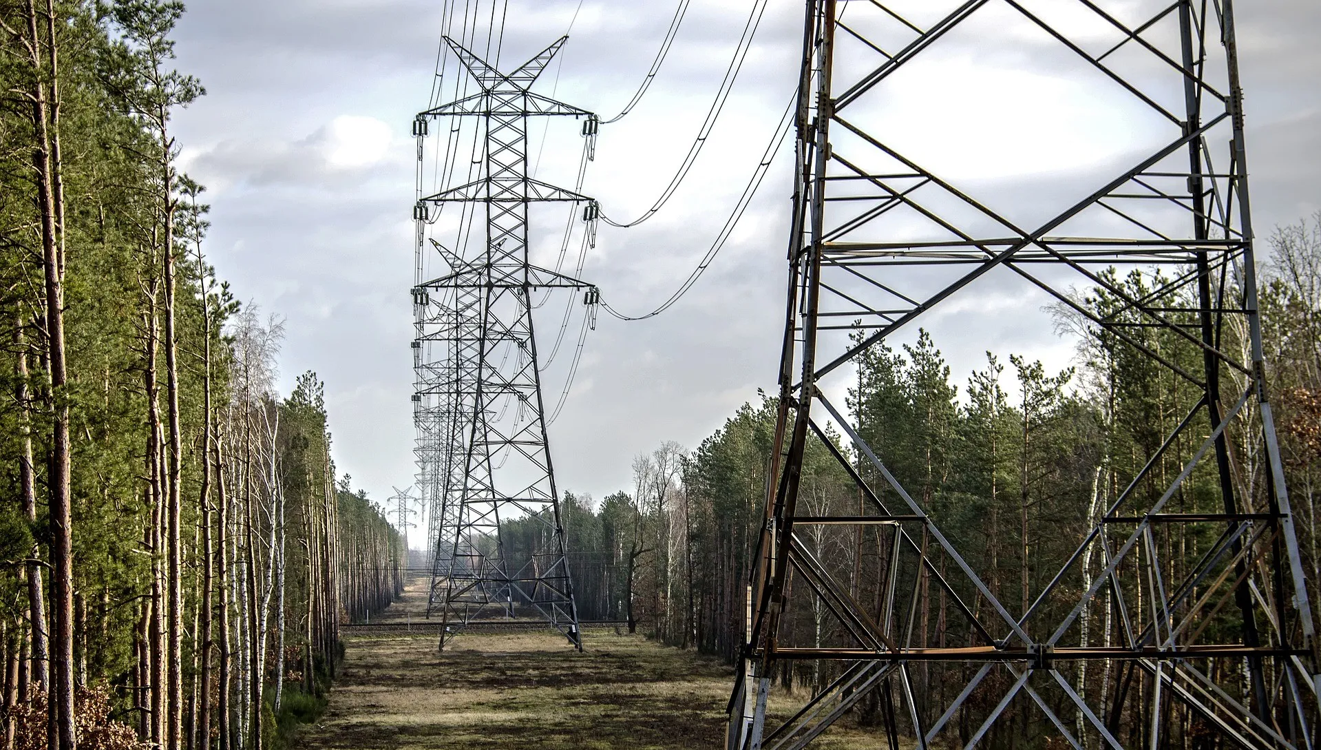Do Sejmu wpłynął projekt noweli ustawy o cenach prądu. Co zakłada?