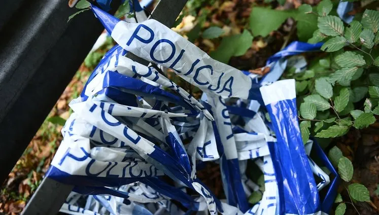 Wypadek w Lubuskiem. Rannych 5 osób