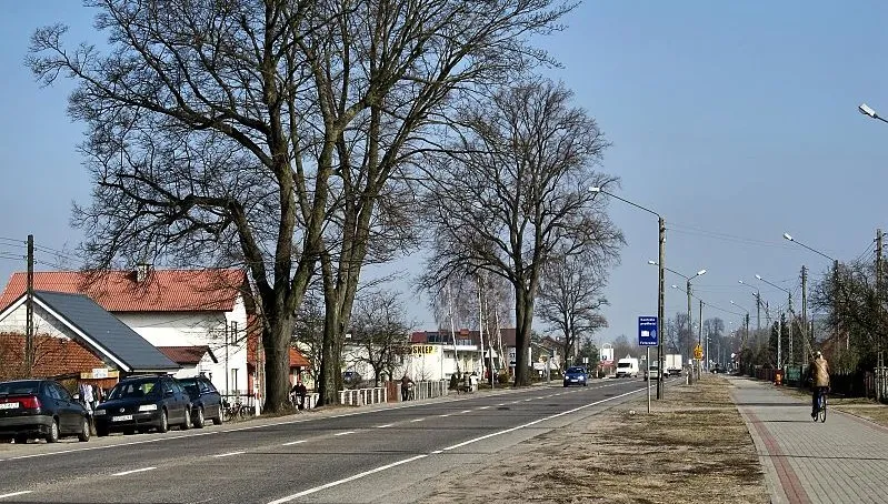Zdjęcie główne