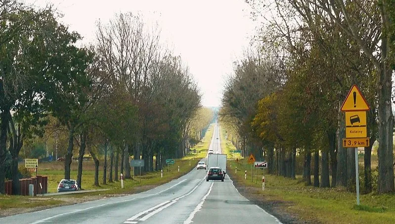 Kolizja i dachowanie koło Rawy Mazowieckiej