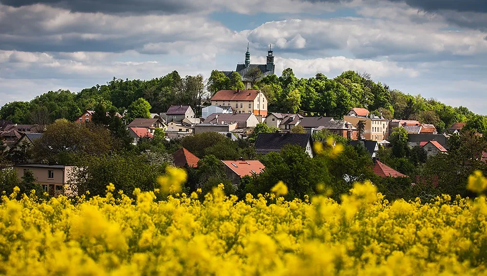 Widok na Górę Św. Anny  