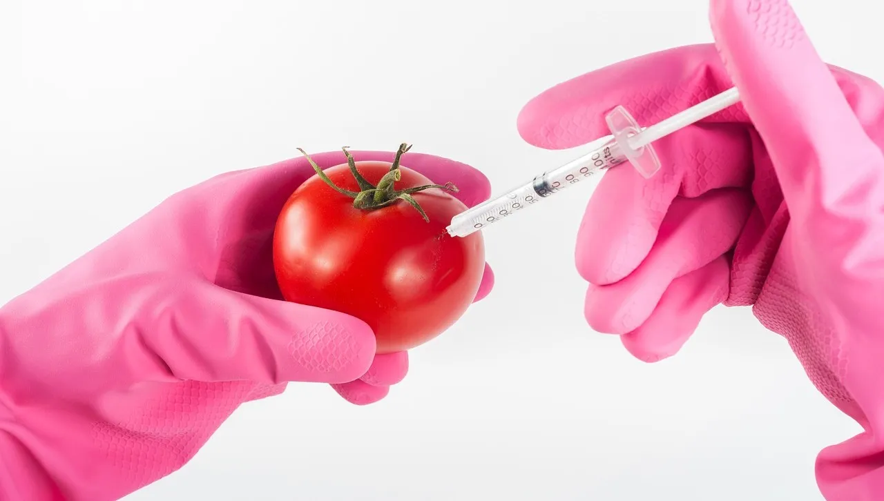 Produkty bez GMO będą oznakowane