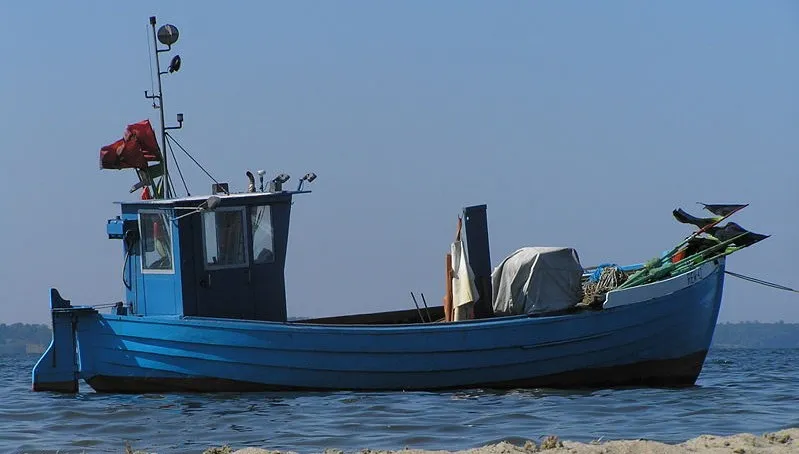 Europejczycy skazani na import ryb