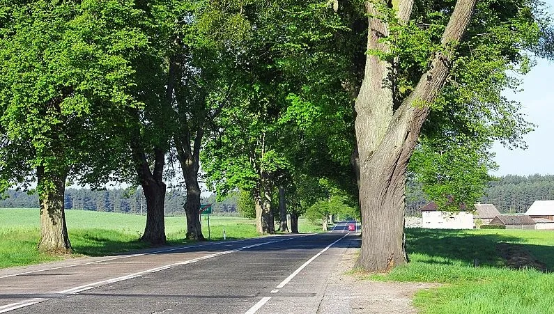 Koniec utrudnień na dk 22