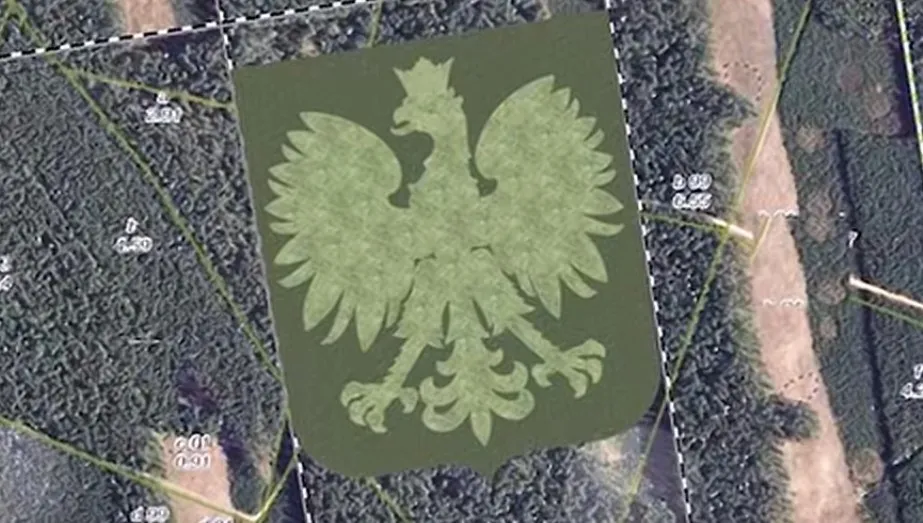 Wizualizacja "Leśnego Orła"