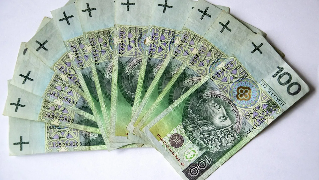 Wyłudziła prawie 1,5 mln zł kredytów bankowych
