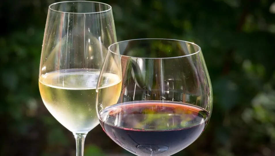 Szczyt G7: Pierwsze damy degustowały wino