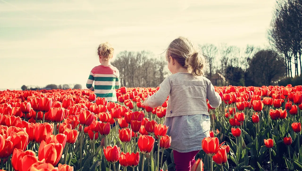 Ruszyła akcja "Tulipany mocy"