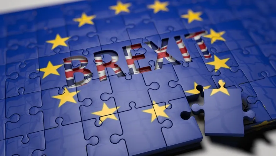 Brexit: specjalne zasady dla Irlandii Płn.?