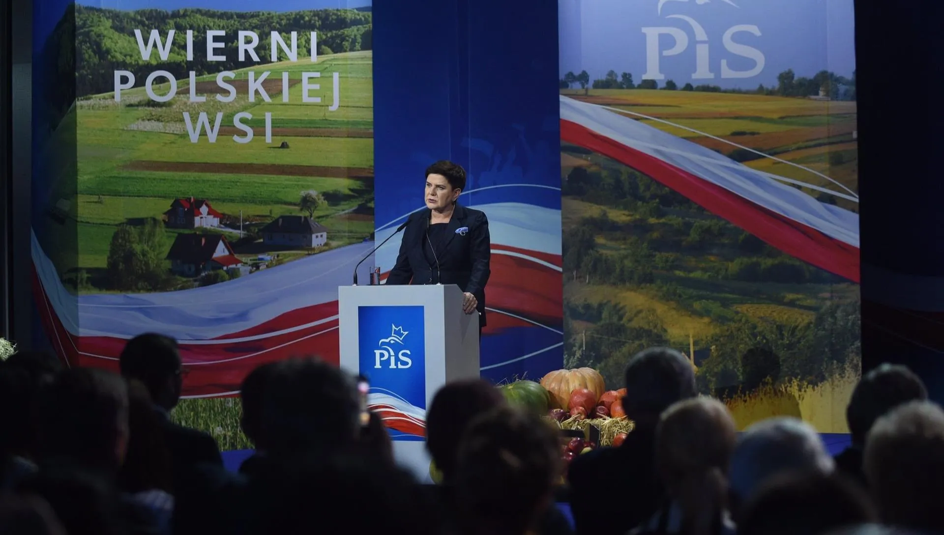 Szydło: polska wieś była niszczona