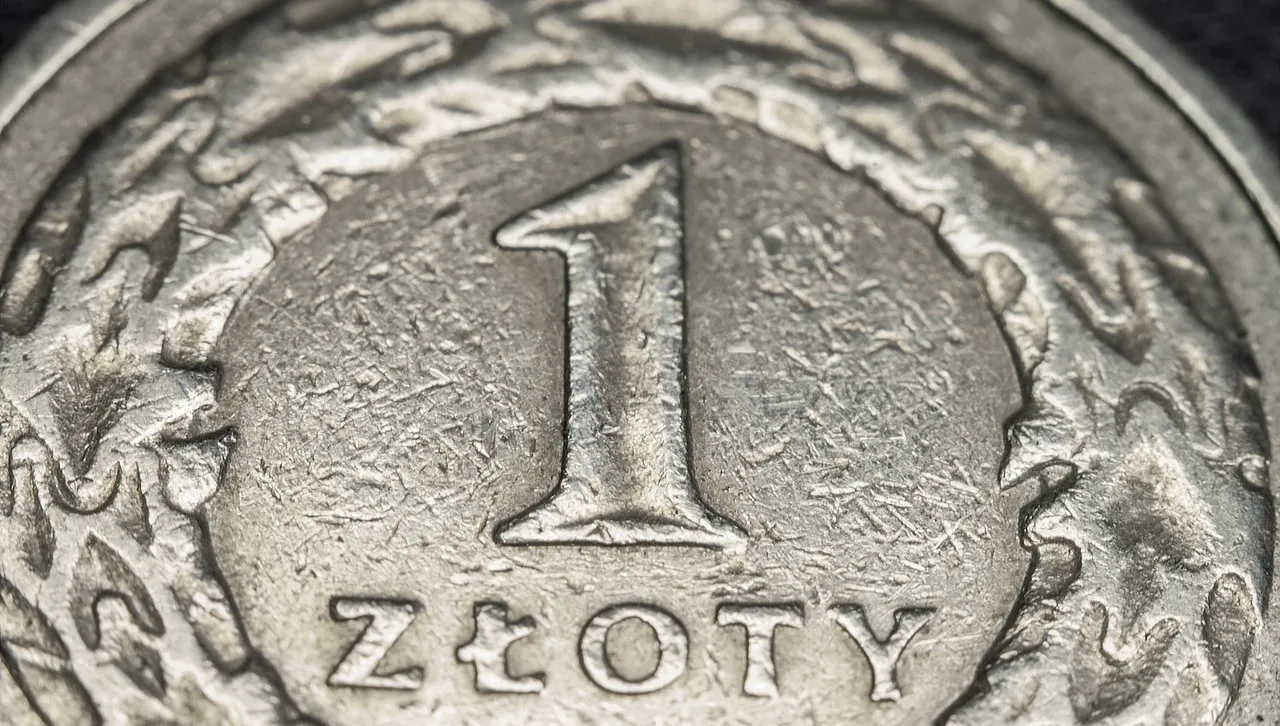 Wybory nie wpłynęły na złotówkę