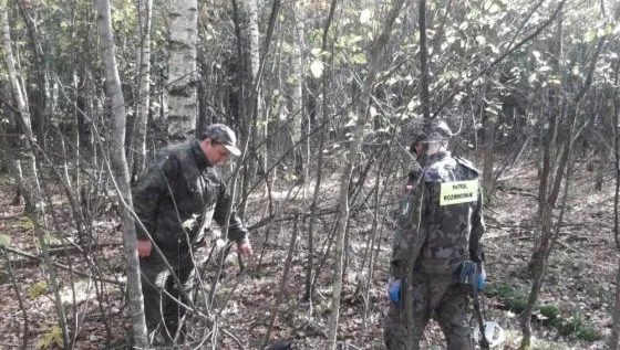  Grzybiarz odnalazł wojenne niewybuchy