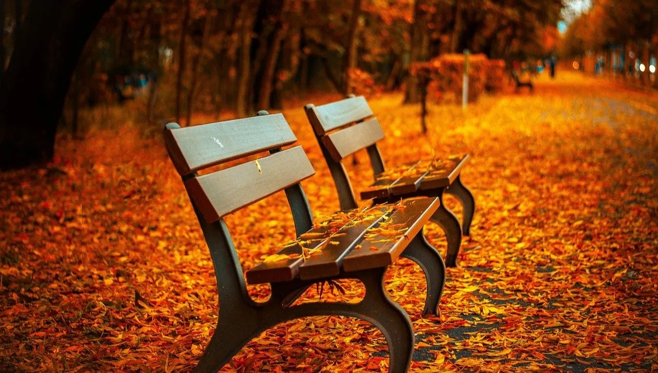 Będzie park kulturowy w dzielnicy Ruda?