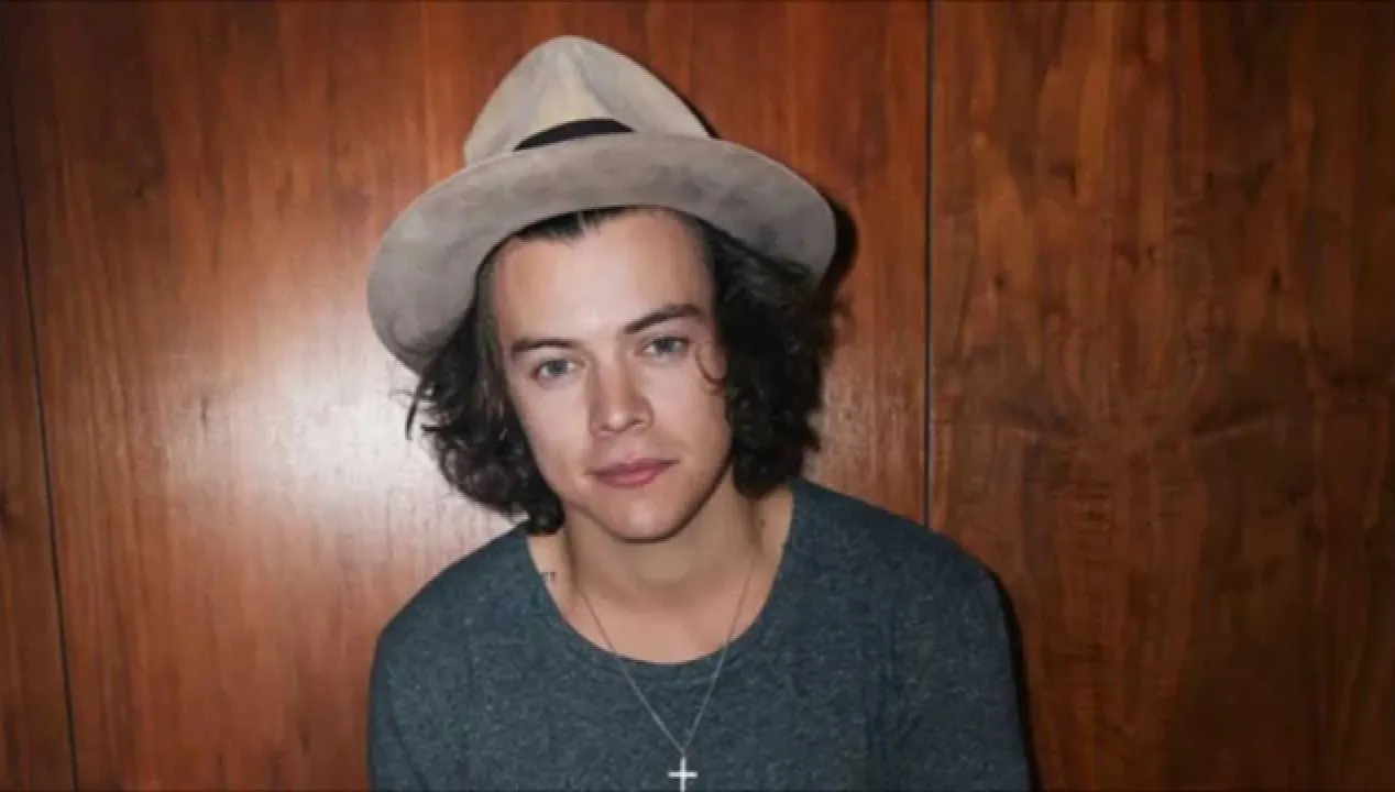 Harry Styles po raz pierwszy zagra w Polsce! Gdzie odbędzie się koncert artysty?