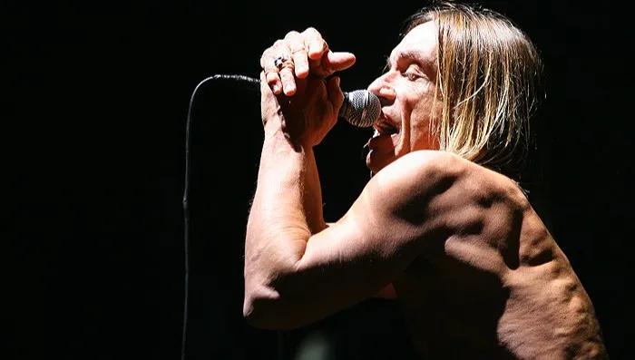 Chciał "włożyć ciemne okulary, odwrócić się i odejść". Ale... Iggy Pop przyjeżdża do Polski