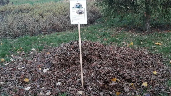 Domki dla jeży w łomżyńskich parkach