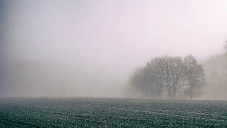 Ostrzeżenia przed gęstymi mgłami